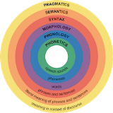 Phonological processes and awareness circular chart.