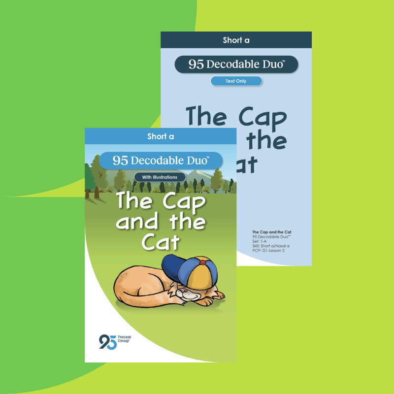 95 Decodable Duo™ Book Series